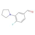 3-(1-吡咯烷基)-4-氟苯甲醛