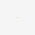 金粉