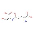 gamma-Glutamyl-serine