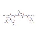Glycylserylasparaginyllysylglycylalanylisoleucylisoleucylglycylleucylmethionine