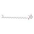 Gentiside B