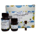 α-淀粉酶 (α-AL) 活性检测试剂盒 (DNS, 微量法)