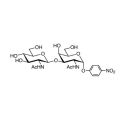 GlcNAcβ(1-3)GalNAc-α-pNP