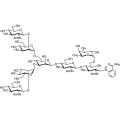 G0F 2AB (500pmol/vial)