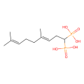 geranyl biphosphonate