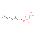 geranyl diphosphate
