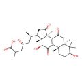 Ganoderic acid C6