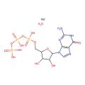 Guanosine 5'-triphosphate trisodium salt hydrate