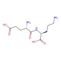γ-Glutamylornithine
