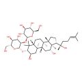 Gypenoside L