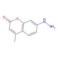 7-Hydrazinyl-4-methyl-2H-chromen-2-one