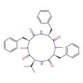 Hirsutide
