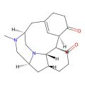 Herqueline