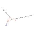 1-Hexadecanoyl-2-dodecanoyl-sn-glycero-3-phosphocholine