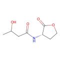 3-Hydroxy-C4-HSL