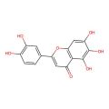 6-Hydroxyluteolin