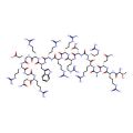 HIV-1 Rev (34-50)