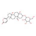 Hellebrigenin-3-O-β-glucoside
