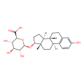 [³H]estradiol-17β-glucuronide