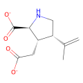 [³H]kainate