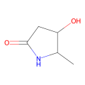 (4S,5S)-4-hydroxy-5-methylpyrrolidin-2-one