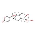 Hellebrigenin