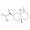 5α-Hydroxycostic acid