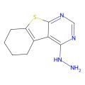 4-肼基-5,6,7,8-四氢苯并[4,5]噻吩并[2,3-d]嘧啶