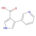 4-(吡啶-3-基)-1H-吡咯-3-羧酸