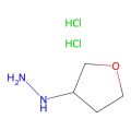 (四氢呋喃-3-基)肼二盐酸盐
