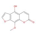 5-Hydroxyxanthotoxin