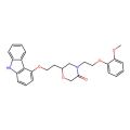 Homo-VK-II-36