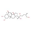 Inokosterone
