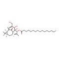 Ingenol-3-palmitate