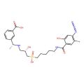 (iodo-125)-CGP 71872