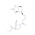 碘乙酰-LC-生物素