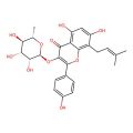 IKarisoside A