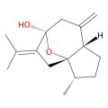 Isocurcumenol