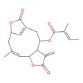Isoscabertopin