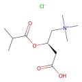 Isobutyryl-L-carnitine chloride