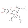 Isogarcinol