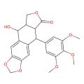 isopicropophyllin