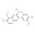 Jatrorrhizine hydroxide