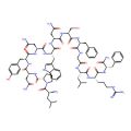 Kisspeptin 13