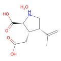 红藻氨酸 一水合物