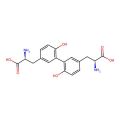 L,L-dityrosine