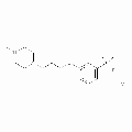 荧光素酶 来源于发光菌