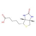 L-Biotin