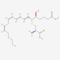 白三烯E4