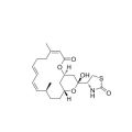 红海海绵素A（LAT-A）